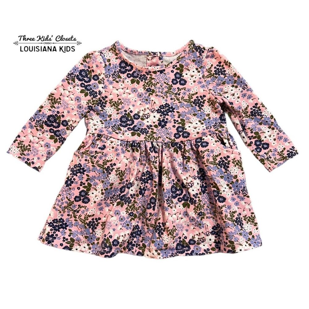 Crazy 8 6-12m Pink Floral Dress